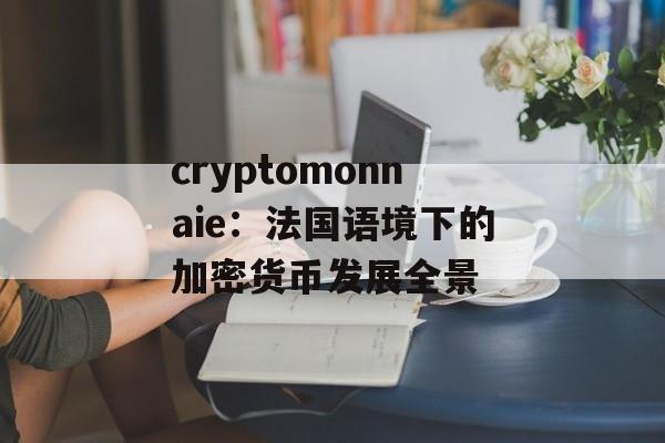 cryptomonnaie：法国语境下的加密货币发展全景